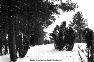 Bild vergrößern: Tietlinger Wachholderhain im Winter
