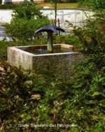 Bild vergrößern: Eingebettet in viel Grün: Der 1972 in einer kleinen Grünanlage am Rathaus aufgestellte artesische Brunnen